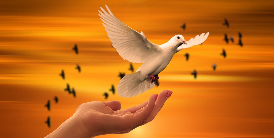 The Role Of The Holy Spirit