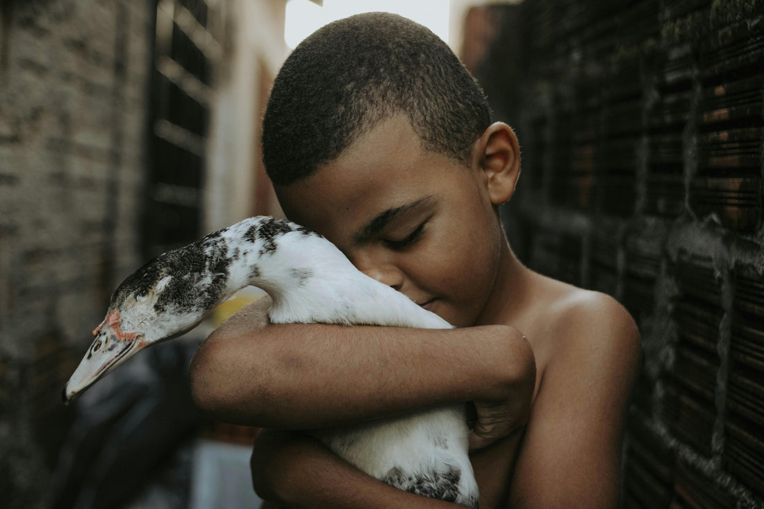 How To Be More Gentle