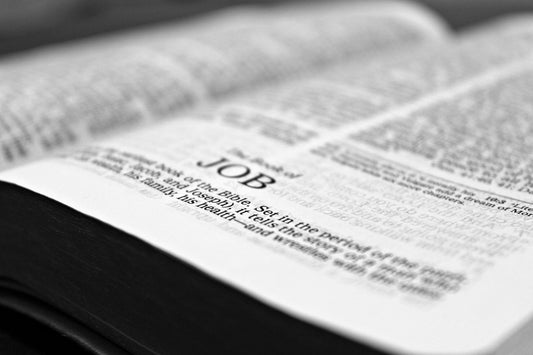 does the Bible Version Matter
