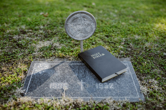 Contradictions in the bible