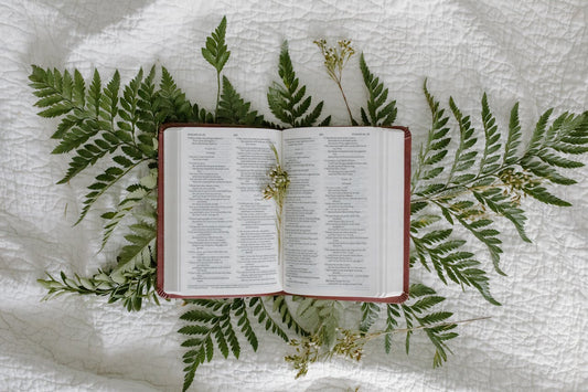 Is The Bible Actually Reliable?