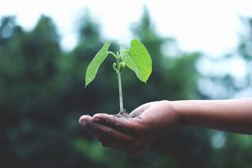10 Signs You Are Growing Spiritually (And What to Do Next)