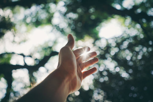 10 Daily Reminders That God Is With You