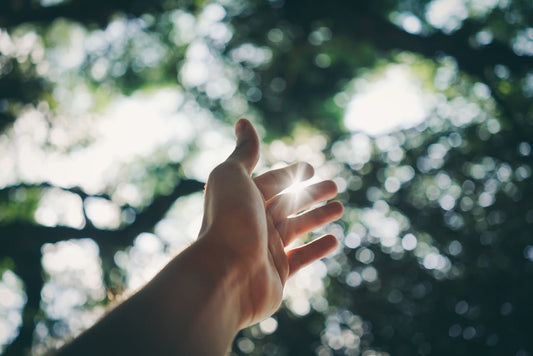 10 Daily Reminders That God Is With You