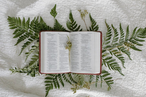 Is The Bible Actually Reliable?